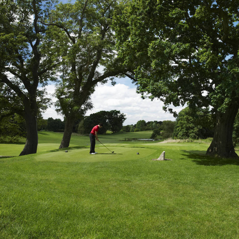 Course Information Image